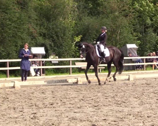 Reitturnier Kleinsolter Turniertage 2024