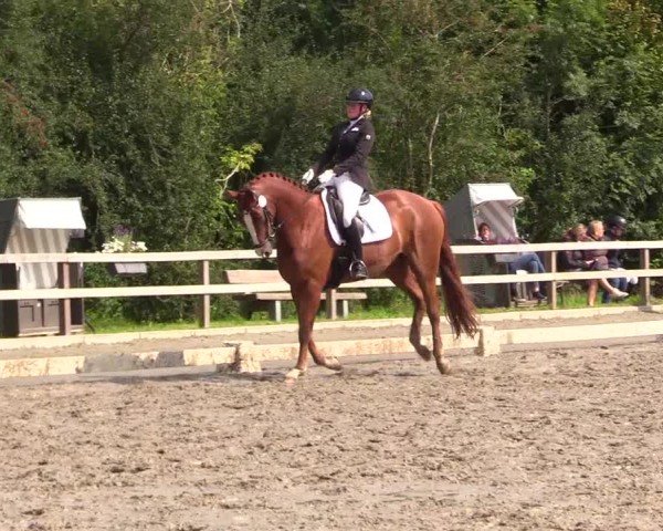 Reitturnier Kleinsolter Turniertage 2024