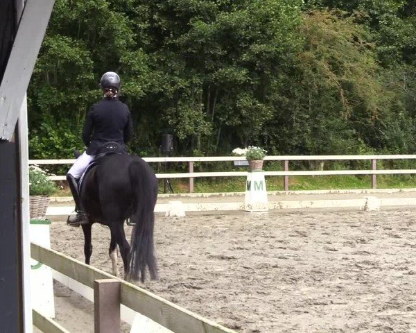 Reitturnier Kleinsolter Turniertage 2024