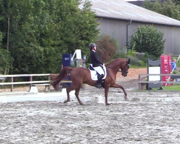 Reitturnier Kleinsolter Turniertage 2024