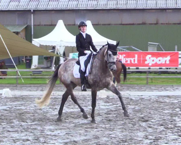 Reitturnier Kleinsolter Turniertage 2024