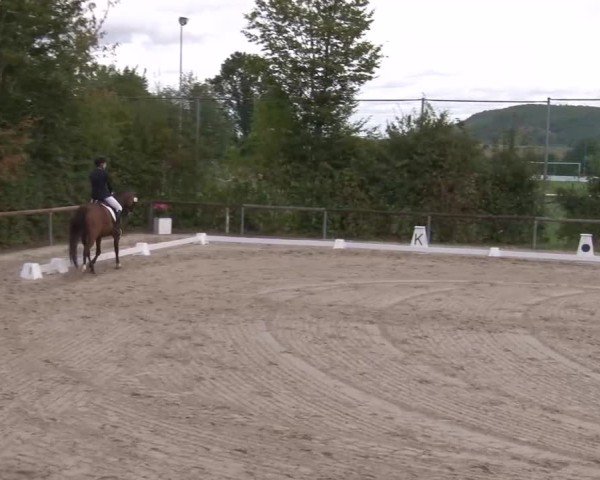 Reitturnier Großbardorf/Ufr. 2024