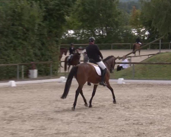 Reitturnier Großbardorf/Ufr. 2024