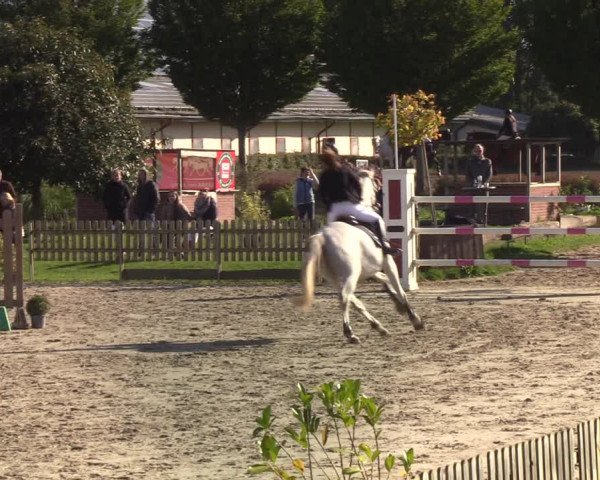 Reitturnier Schülp / Rendsburg 2021