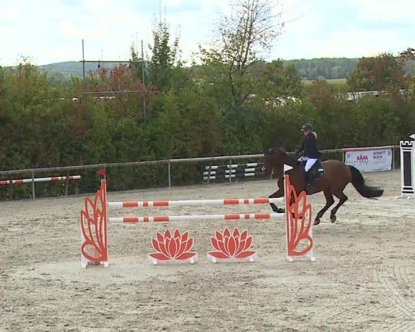 Reitturnier Großbardorf/Ufr. 2024