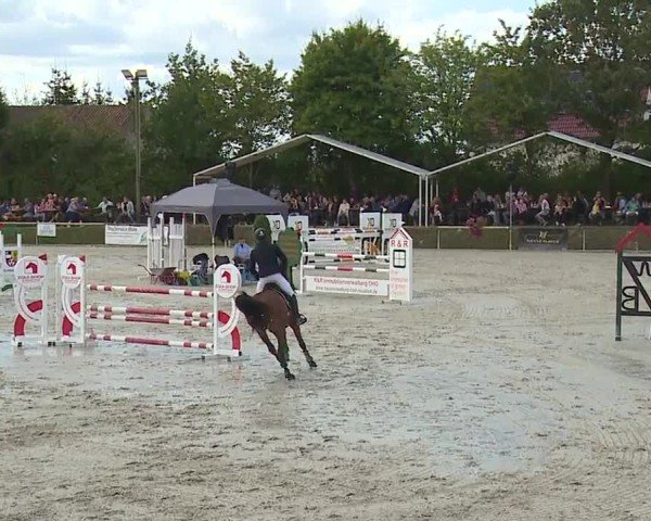 Reitturnier Großbardorf/Ufr. 2024