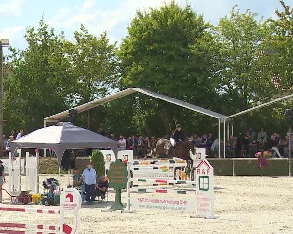 Reitturnier Großbardorf/Ufr. 2024