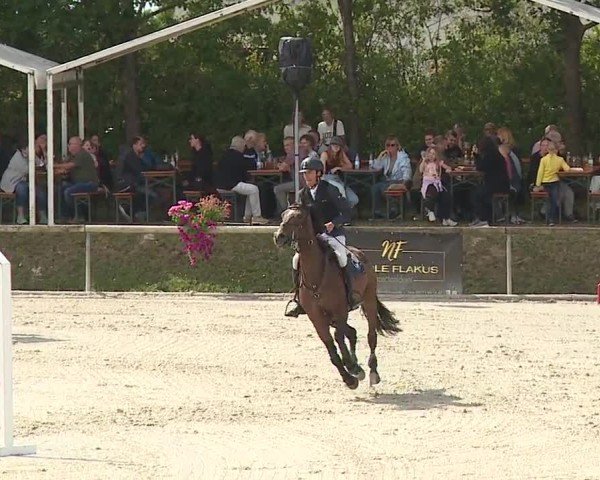 Reitturnier Großbardorf/Ufr. 2024