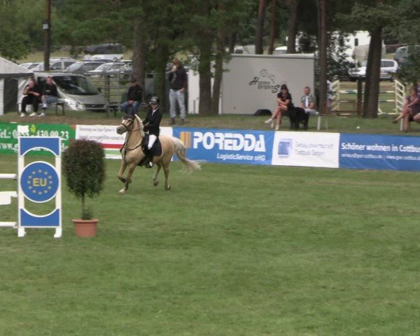 Reitturnier Cottbus-Sielow 2024