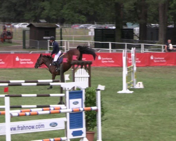 Reitturnier Cottbus-Sielow 2024