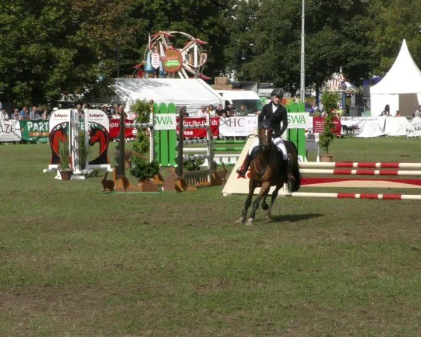 Reitturnier Aschersleben 2024