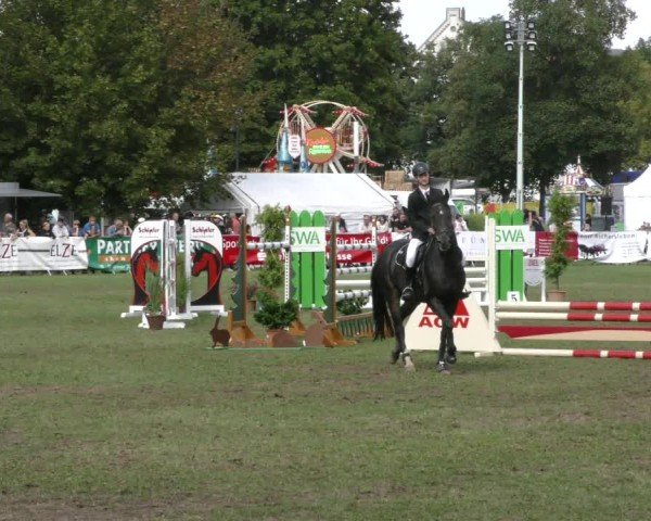 Reitturnier Aschersleben 2024
