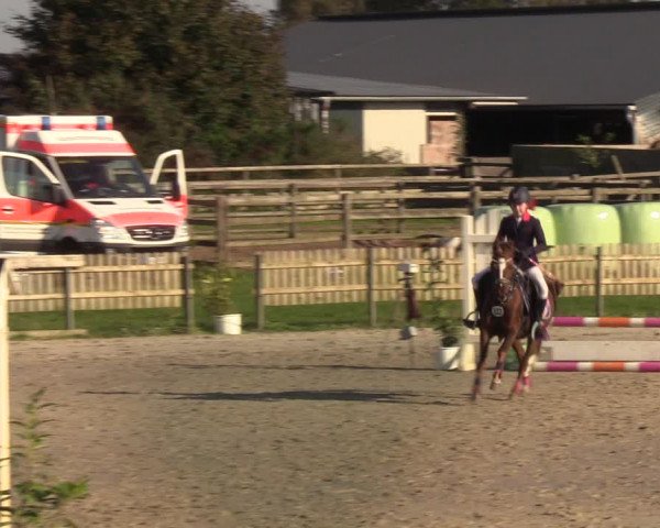 Reitturnier Schülp / Rendsburg 2021