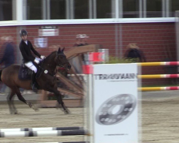 Reitturnier Werne 2024