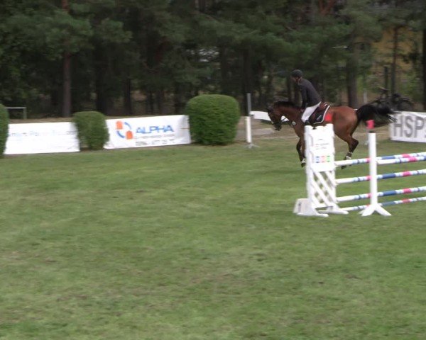 Reitturnier Cottbus-Sielow 2024