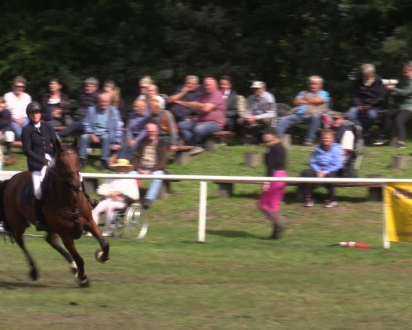 Reitturnier Plöwen 2024