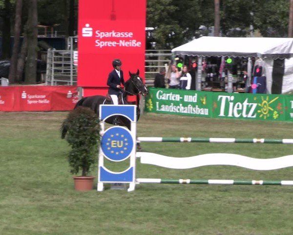 Reitturnier Cottbus-Sielow 2024