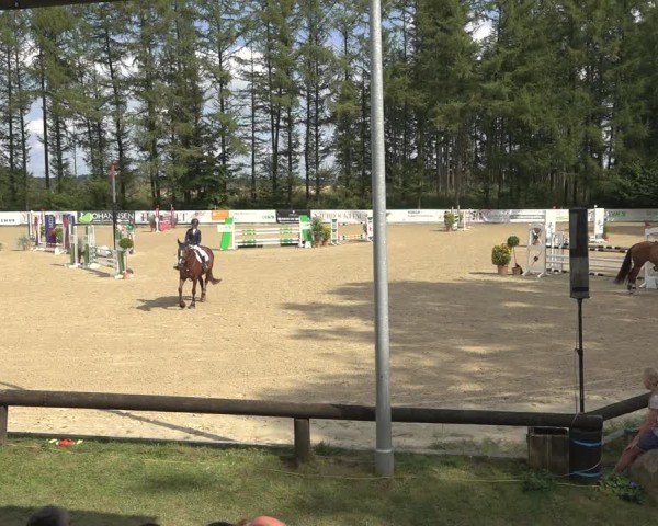 Reitturnier Sieversen - Rosengarten 2024