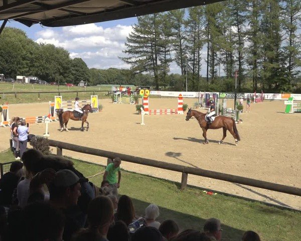 Reitturnier Sieversen - Rosengarten 2024