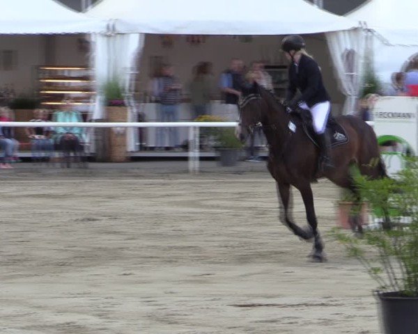 Reitturnier Werne 2024