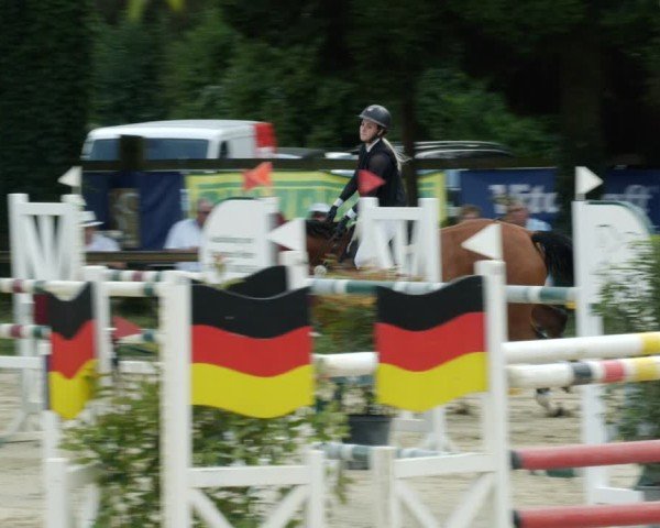 Reitturnier Walldorf/Winterheck 2024