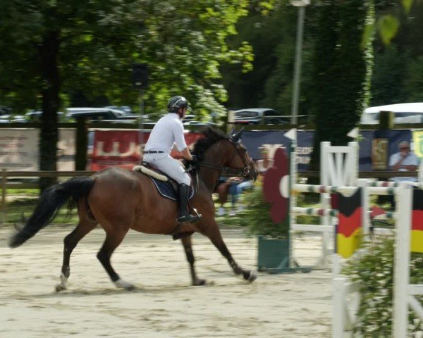 Reitturnier Walldorf/Winterheck 2024