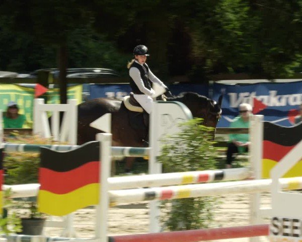 Reitturnier Walldorf/Winterheck 2024