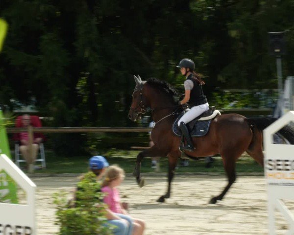 Reitturnier Walldorf/Winterheck 2024