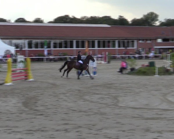 Reitturnier Werne 2024