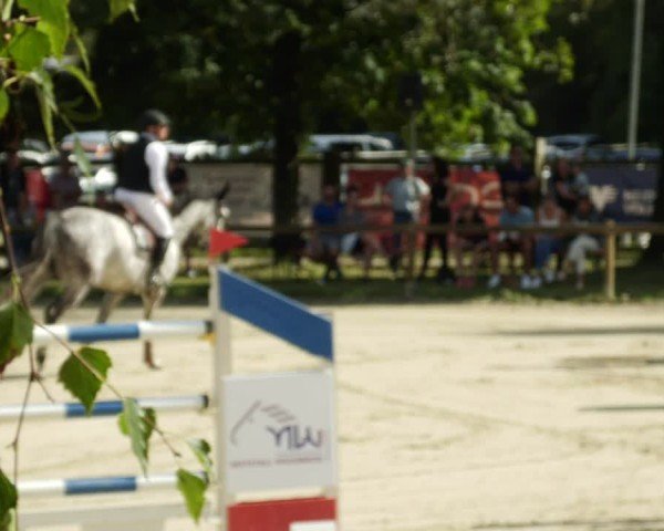 Reitturnier Walldorf/Winterheck 2024