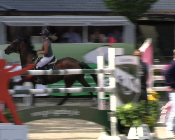 Reitturnier Solingen 2024