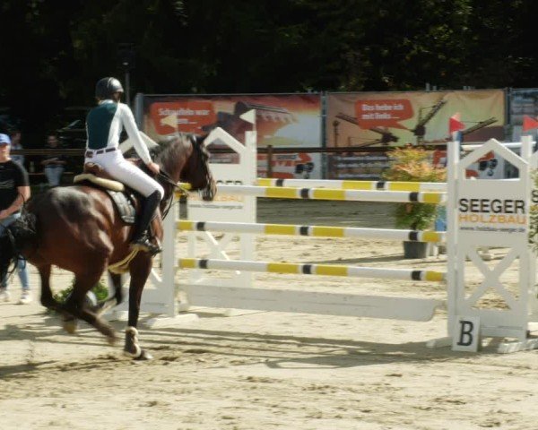 Reitturnier Walldorf/Winterheck 2024