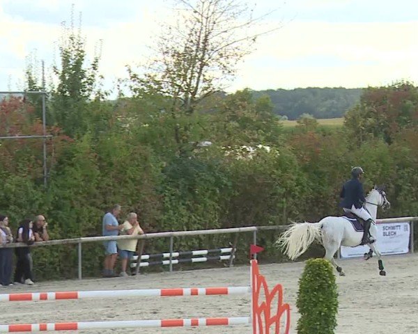Reitturnier Großbardorf/Ufr. 2024