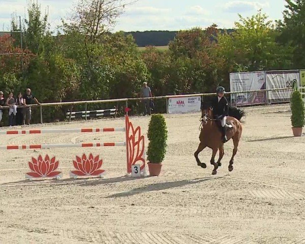 Reitturnier Großbardorf/Ufr. 2024