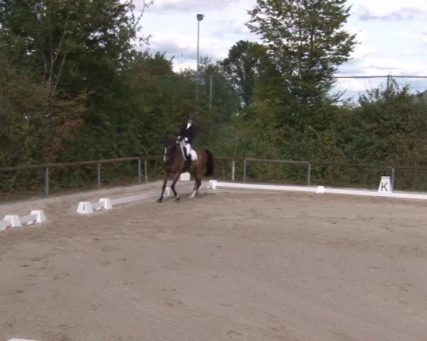 Reitturnier Großbardorf/Ufr. 2024