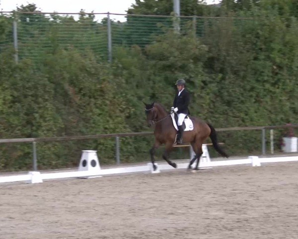 Reitturnier Großbardorf/Ufr. 2024