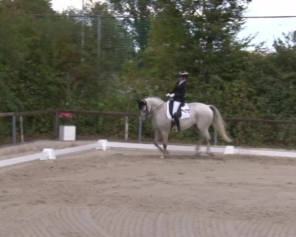 Reitturnier Großbardorf/Ufr. 2024