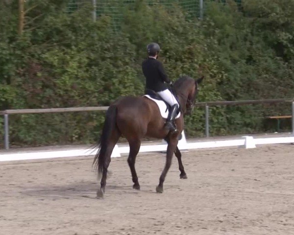 Reitturnier Großbardorf/Ufr. 2024