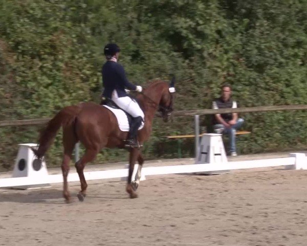 Reitturnier Großbardorf/Ufr. 2024