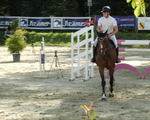 Reitturnier Walldorf/Winterheck 2024