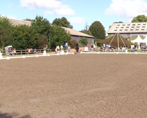 Reitturnier Kleinsolter Turniertage 2024