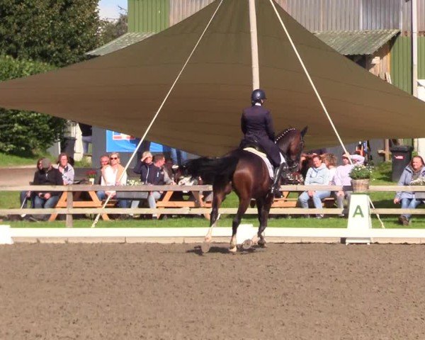 Reitturnier Kleinsolter Turniertage 2024