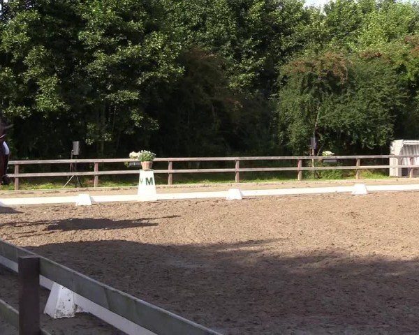 Reitturnier Kleinsolter Turniertage 2024