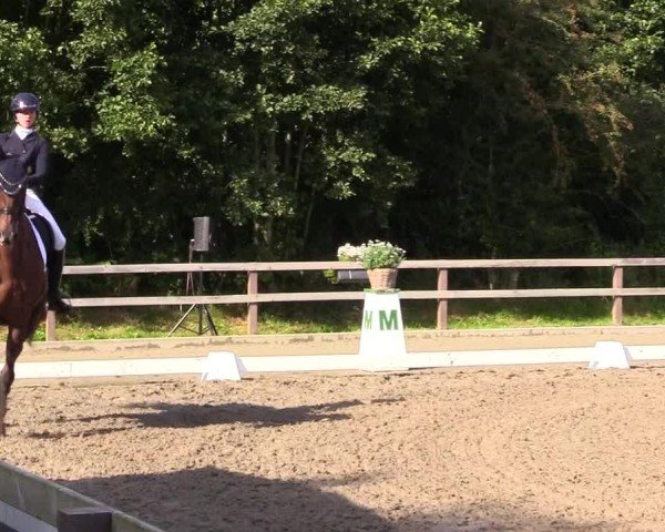 Reitturnier Kleinsolter Turniertage 2024