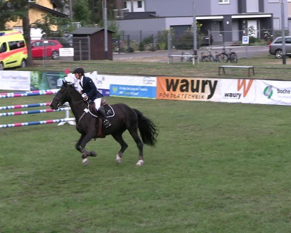 Reitturnier Cottbus-Sielow 2024