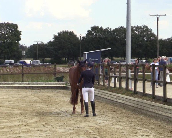 Reitturnier Ostbevern 2024