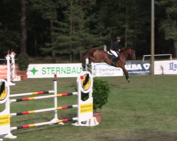 Reitturnier Cottbus-Sielow 2024