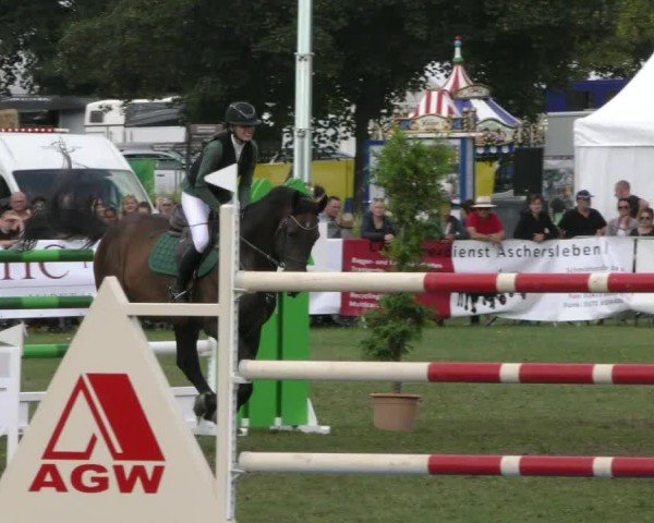 Reitturnier Aschersleben 2024