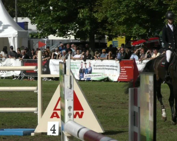 Reitturnier Aschersleben 2024