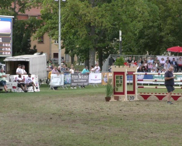 Reitturnier Aschersleben 2024